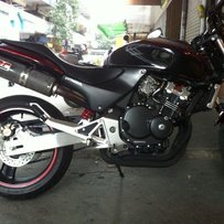 汕头出只水水小黄蜂。