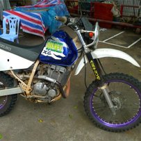 出一台车况非常好的铃木大眼250