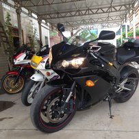 世界杯期间特价出CB 小鹿 R1