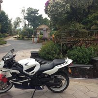 白云区出售00年CBR600F4