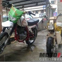 malic(LC50)  白菜越野