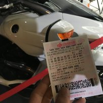 出部08DN-01  鲨鱼