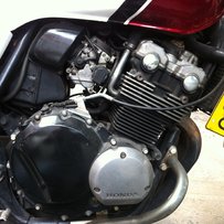 番禺沙湾出CB二代