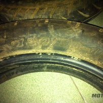 代友出售一对胎