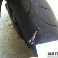 10年 青蛙王子675