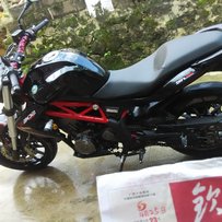 广西浦北县出黄龙300