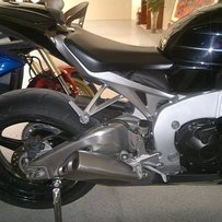 番禺大岗出售11年鹦鹉CBR100