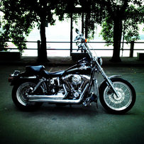 番禺出售百年哈雷戴娜和百年883