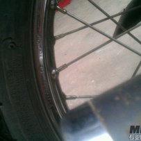 增城出老五本台