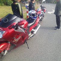 红色黑鸟,接刀，接换车来电骚扰吧