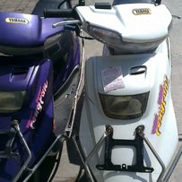 出售精神的绵羊仔