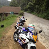 已经售出，谢谢绿茵直播！