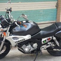 出售靓海豚一台