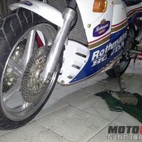 已售出...谢谢绿茵直播