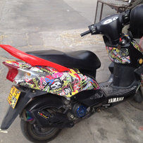 东莞地区出售10年超级靓仔迅鹰  4999