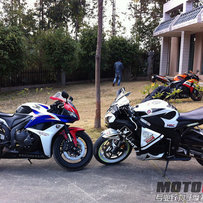 广州白云出售精神鹦鹉08CBR1000