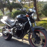 以补报纸。佛冈代友出小黄蜂