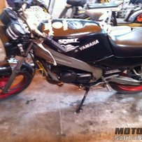 广州番禺代友出售精神T仔