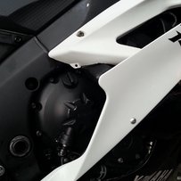 广东四会出售06 五十周年纪念花R6