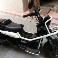 PS250稀有品种，值得拥有！