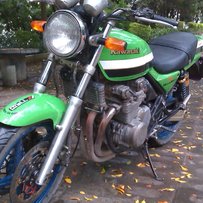 肇庆广宁出西风400