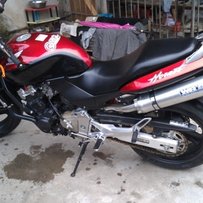 代友出   99黄蜂