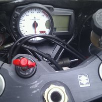 全部已售！多谢绿茵直播！多谢各位的关注！