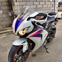 代友广州出08鹦鹉