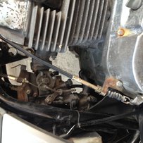 增城周边出全原装夜鹰