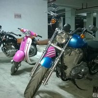 7800出一手纯水复古铃木猪Volty250