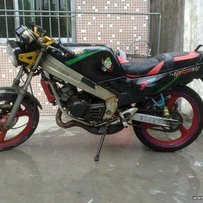 高明区继续出尸体tzr，1300元