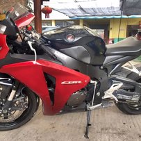 新兴出售精神08年鹦鹉