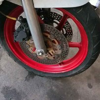 东莞清溪出售暴力3仔