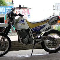 茂名电白代友出97年铃木DR250 大眼