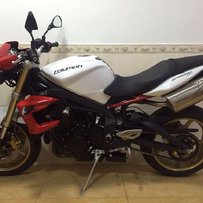 广东梅州出台12年的凯旋青蛙