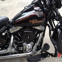 哈雷海盗大弹簧出嫁，8000公里，原版原漆，带全车改装件