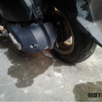 台山出精神女装本田二台