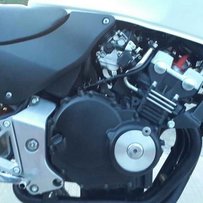 出售极品~小黄蜂