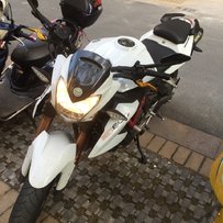 广东出售白色BJ黄龙