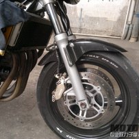 江门出售精神99黄蜂600