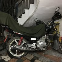 五羊本田新锋翼 换/出 迅鹰或本田踏板