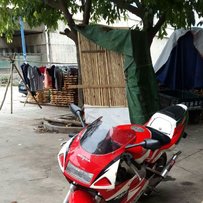 广州白云代朋友的朋友的同学出P3（干）