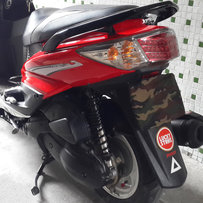 出售台湾产踏板绵羊劲战