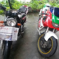 佛山代出带牌证CB一代21000元，和出一台3XVTZR250出8800元