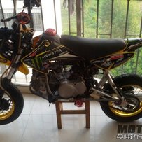 广西百色出售暴力小爬鸡~