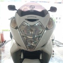 好马已经出售，感谢各位的支持。