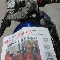 白云区从新发贴出柃木盗匪400