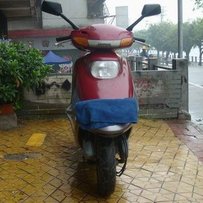 开平共三千元平卖踏板车三台五羊本田WH125LZ 光南豪迈