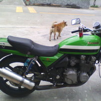 川崎西风 400街车  换绵羊或太子