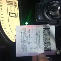 深圳宝安沙井出售14年鹦鹉